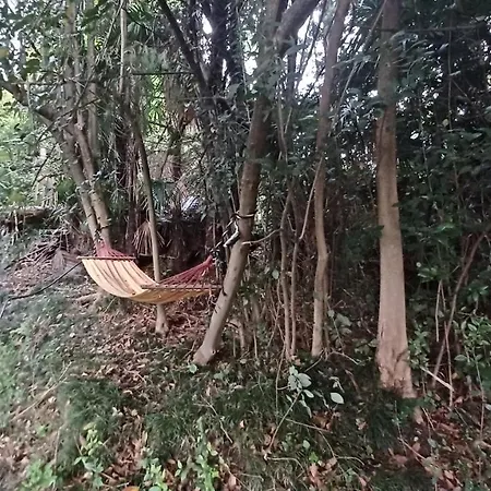 Lejlighed Apartament Dans La Verdure A 600 Mt Du